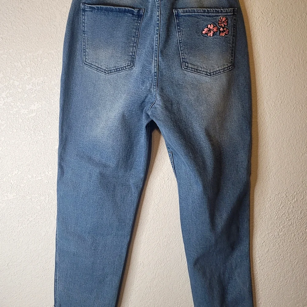 Hot Topic Blue Jeans with Raccoon and Floral Embroidery - Picture 3 of 9